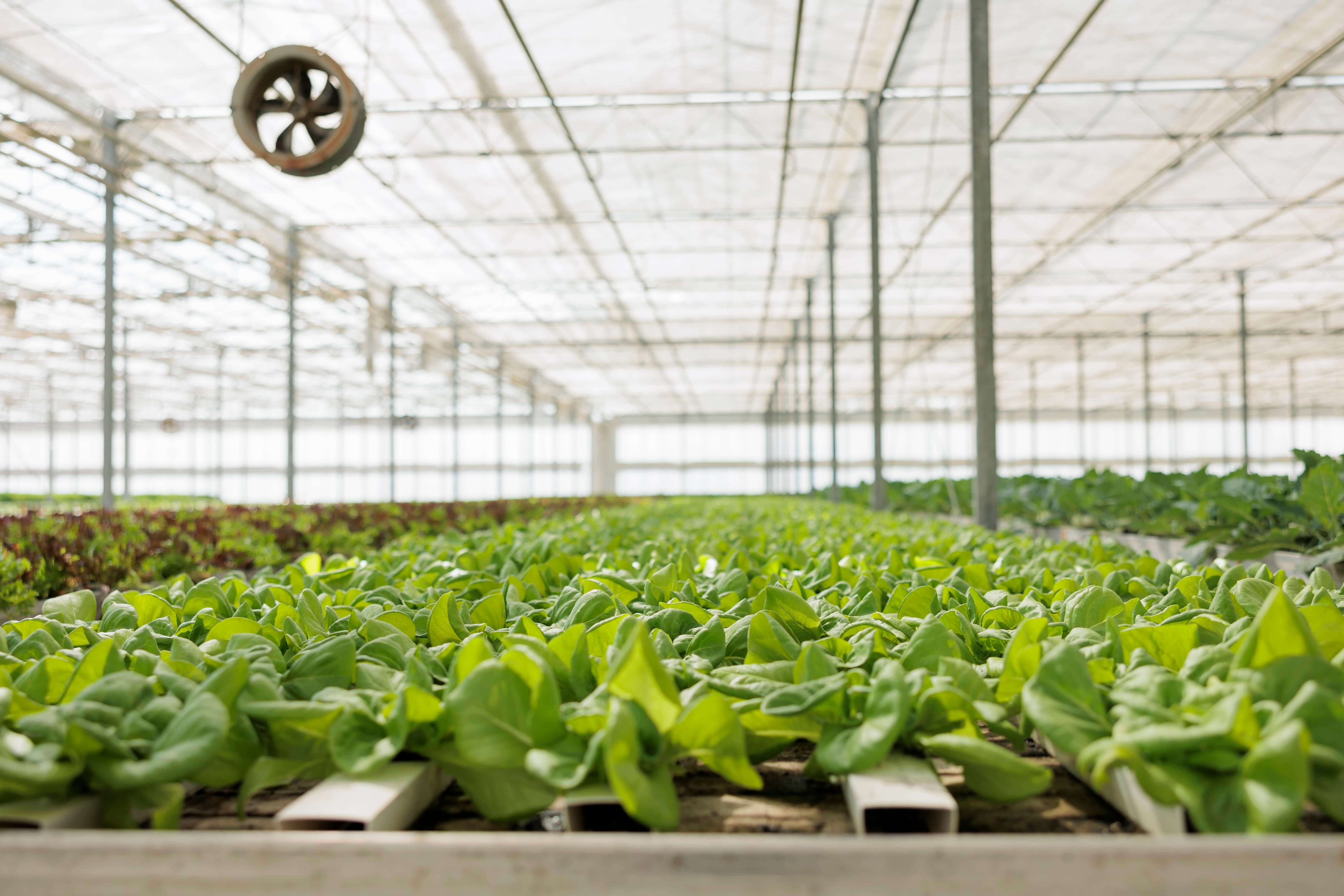 GOZANLINK Greenhouse Management