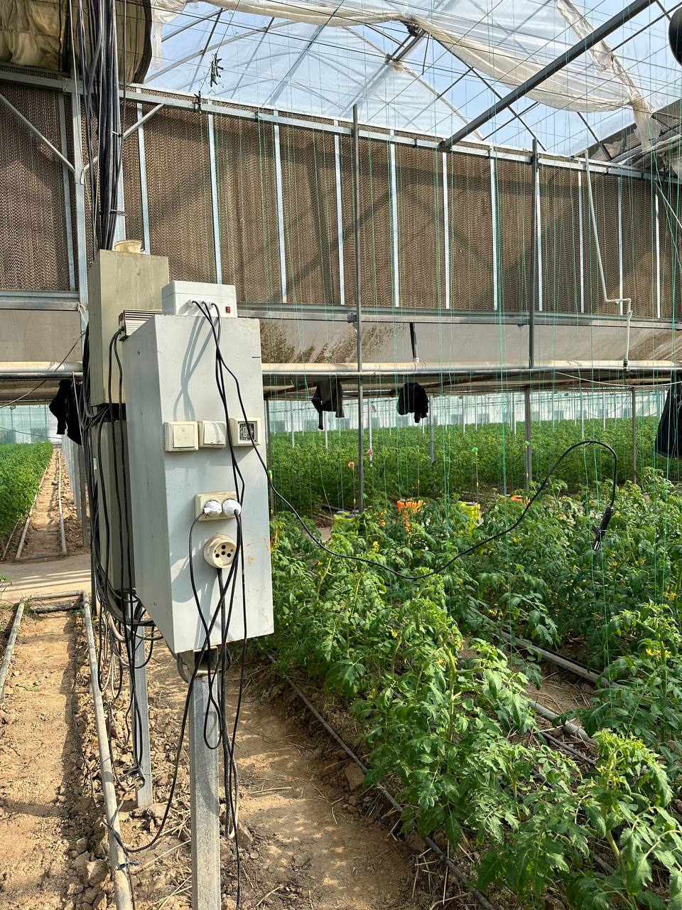 GOZANLINK greenhouse