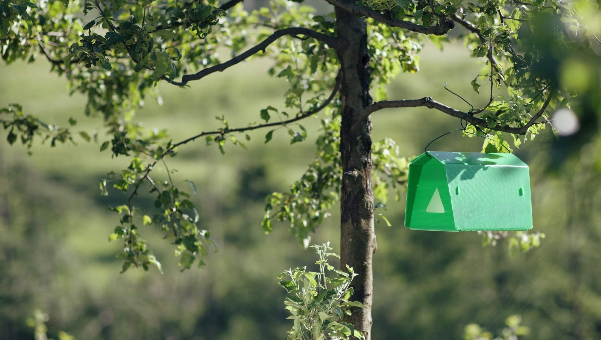 JAYHUN TRAP Pheromone Trap