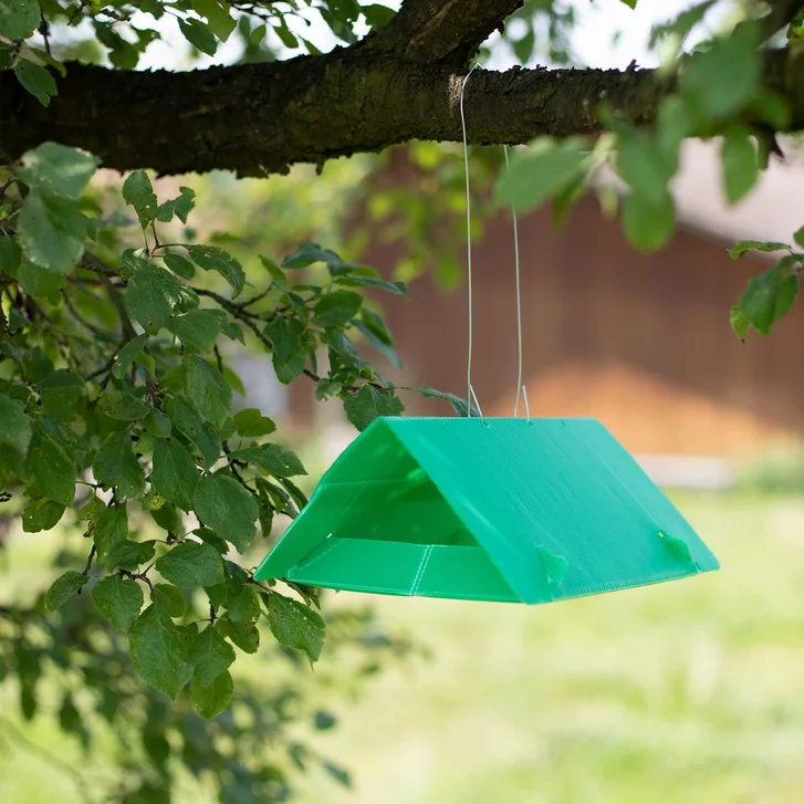 Pheromone trap close-up