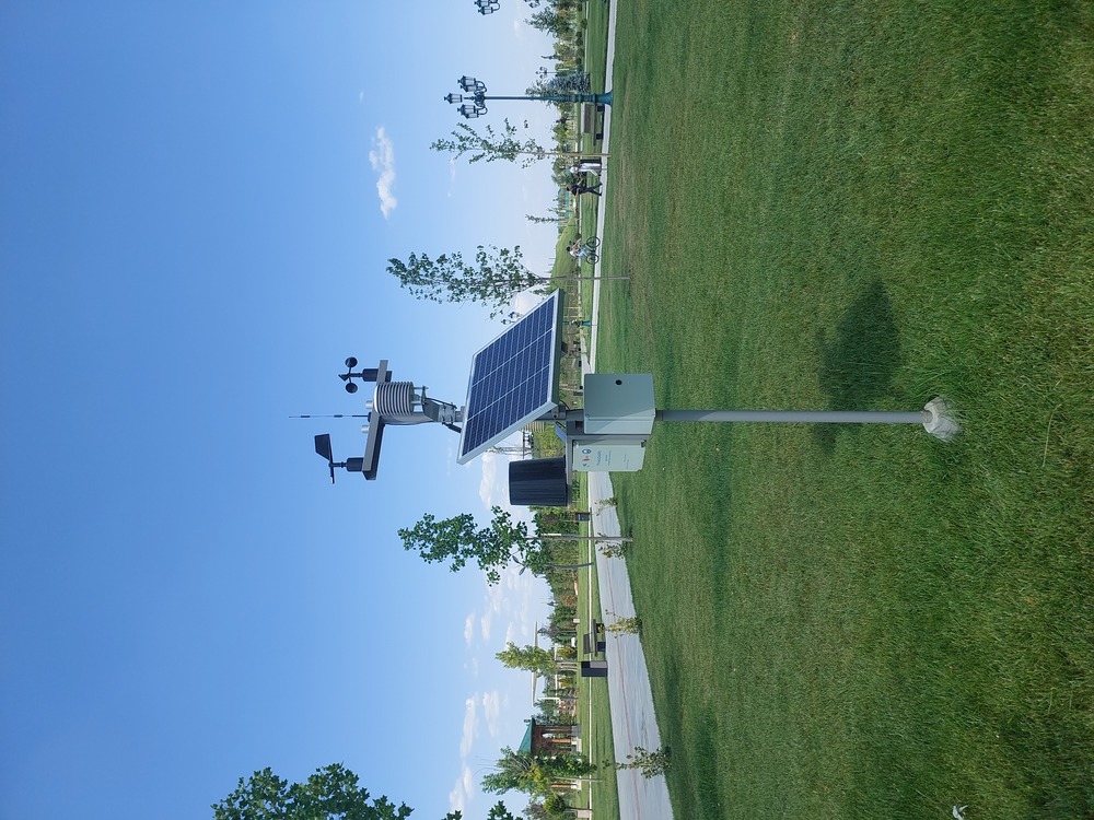 OXUS WS in cotton field